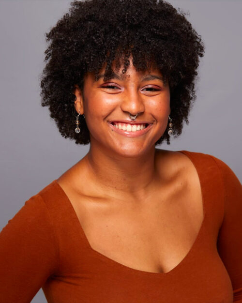 Steps Conservatory Alum Ash Hudak