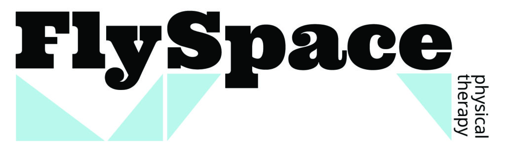 FLYSPACE Physical Therapy texted based logo
